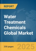 Water Treatment Chemicals Global Market Report 2025- Product Image