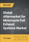 Aftermarket for Motorcycle Full Exhaust Systems - Global Strategic Business Report - Product Thumbnail Image