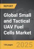 Small and Tactical UAV Fuel Cells - Global Strategic Business Report- Product Image