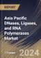 Asia Pacific DNases, Ligases, and RNA Polymerases Market Size, Share & Trends Analysis Report By DNases Application, By Ligases Application (Oligonucleotide Synthesis and Others), By RNA Polymerases Application, By Country and Growth Forecast, 2024 - 2031 - Product Thumbnail Image