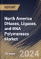 North America DNases, Ligases, and RNA Polymerases Market Size, Share & Trends Analysis Report By DNases Application, By Ligases Application (Oligonucleotide Synthesis and Others), By RNA Polymerases Application, By Country and Growth Forecast, 2024 - 2031 - Product Thumbnail Image