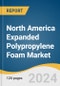 North America Expanded Polypropylene Foam Market Size, Share & Trends Analysis Report By Product (Low Density, Medium Density, High Density), By Application, By Region, And Segment Forecasts, 2024 - 2030 - Product Thumbnail Image