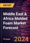Middle East & Africa Molded Foam Market Forecast to 2030 - Regional Analysis - by Type, Form, Material, and Application - Product Image