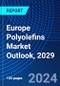 Europe Polyolefins Market Outlook, 2029 - Product Image