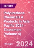 Polyurethane Chemicals & Products in Asia Pacific 2024 - Elastomers (Volume 4)- Product Image