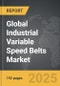 Industrial Variable Speed Belts - Global Strategic Business Report - Product Image