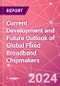 Current Development and Future Outlook of Global Fixed Broadband Chipmakers - Product Image