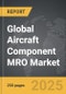 Aircraft Component MRO - Global Strategic Business Report - Product Image
