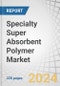 Specialty Super Absorbent Polymer Market by Type, Material (Sodium Polyacrylate, Polyacrylate/Polyacrylamide Copolymer, Bio-Based Sap), End-Use Industry (Agriculture & Horticulture, Industrial, Construction), & Region - Forecast to 2029 - Product Image
