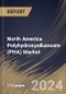 North America Polyhydroxyalkanoate (PHA) Market Size, Share & Trends Analysis Report By Type, By Production Method (Sugar Fermentation, Vegetable Oil Fermentation, and Methane Fermentation), By Application, By Country and Growth Forecast, 2024 - 2031 - Product Thumbnail Image
