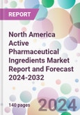 North America Active Pharmaceutical Ingredients Market Report and Forecast 2024-2032- Product Image