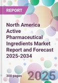 North America Active Pharmaceutical Ingredients Market Report and Forecast 2025-2034- Product Image