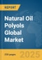 Natural Oil Polyols Global Market Report 2025 - Product Thumbnail Image
