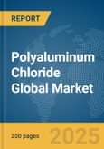 Polyaluminum Chloride Global Market Report 2025- Product Image