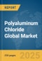 Polyaluminum Chloride Global Market Report 2025 - Product Thumbnail Image