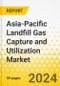 Asia-Pacific Landfill Gas Capture and Utilization Market: Focus on Application, Product Type, and Country - Analysis and Forecast, 2023-2033 - Product Thumbnail Image