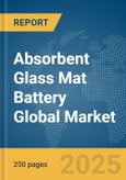 Absorbent Glass Mat (AGM) Battery Global Market Report 2025- Product Image