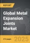 Metal Expansion Joints - Global Strategic Business Report - Product Thumbnail Image