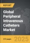Peripheral Intravenous (IV) Catheters - Global Strategic Business Report - Product Image