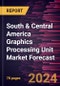 South & Central America Graphics Processing Unit Market Forecast to 2030 - Regional Analysis - by Type and Application - Product Image