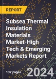 2024 Global Forecast for Subsea Thermal Insulation Materials Market (2025-2030 Outlook)-High Tech & Emerging Markets Report- Product Image