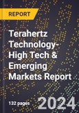2024 Global Forecast for Terahertz Technology (2025-2030 Outlook)-High Tech & Emerging Markets Report- Product Image
