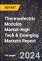 2024 Global Forecast for Thermoelectric Modules Market (2025-2030 Outlook)-High Tech & Emerging Markets Report - Product Image