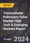 2024 Global Forecast for Transcatheter Pulmonary Valve Market (2025-2030 Outlook)-High Tech & Emerging Markets Report - Product Thumbnail Image
