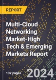 2024 Global Forecast for Multi-Cloud Networking Market (2025-2030 Outlook)-High Tech & Emerging Markets Report- Product Image