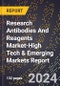 2024 Global Forecast for Research Antibodies And Reagents Market (2025-2030 Outlook)-High Tech & Emerging Markets Report - Product Thumbnail Image