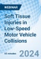 Soft Tissue Injuries in Low-Speed Motor Vehicle Collisions - Webinar (Recorded) - Product Thumbnail Image