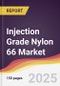 Injection Grade Nylon 66 Market Report: Trends, Forecast and Competitive Analysis to 2031 - Product Thumbnail Image