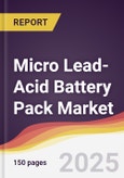 Micro Lead-Acid Battery Pack Market Report: Trends, Forecast and Competitive Analysis to 2031- Product Image