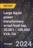 2024 Global Forecast for Large Liquid Power Transformers W/out Load-tap, 30,001 - 100,000 KVA, OA (2025-2030 Outlook)-Manufacturing & Markets Report- Product Image