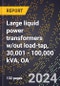 2024 Global Forecast for Large Liquid Power Transformers W/out Load-tap, 30,001 - 100,000 KVA, OA (2025-2030 Outlook)-Manufacturing & Markets Report - Product Image