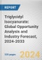 Triglycidyl Isocyanurate: Global Opportunity Analysis and Industry Forecast, 2024-2033 - Product Thumbnail Image