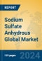 Sodium Sulfate Anhydrous Global Market Insights 2024, Analysis and Forecast to 2029, by Manufacturers, Regions, Technology, Application - Product Image