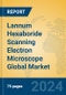 Lannum Hexaboride Scanning Electron Microscope Global Market Insights 2024, Analysis and Forecast to 2029, by Manufacturers, Regions, Technology, Application, Product Type - Product Thumbnail Image
