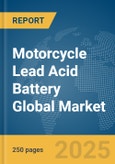 Motorcycle Lead Acid Battery Global Market Report 2025- Product Image