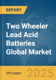 Two Wheeler Lead Acid Batteries Global Market Report 2025- Product Image