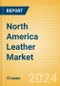 North America Leather Market Report - Product Thumbnail Image