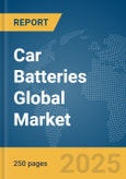 Car Batteries Global Market Report 2025- Product Image