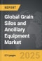 Grain Silos and Ancillary Equipment - Global Strategic Business Report - Product Image