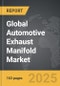 Automotive Exhaust Manifold - Global Strategic Business Report - Product Thumbnail Image