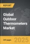 Outdoor Thermometers - Global Strategic Business Report - Product Image