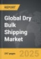 Dry Bulk Shipping - Global Strategic Business Report - Product Image