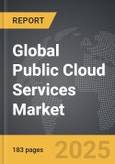 Public Cloud Services - Global Strategic Business Report- Product Image