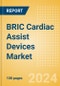 BRIC Cardiac Assist Devices Market Outlook to 2033 - Cardiopulmonary Bypass Equipment, Intra-Aortic Balloon Pumps and Others - Product Thumbnail Image
