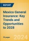 Mexico General Insurance: Key Trends and Opportunities to 2028 - Product Image