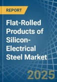 Flat-Rolled Products of Silicon-Electrical Steel - Market Analysis, Forecast, Size, Trends and Insights- Product Image
